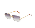 Cartier Sunglasses - Big C Gold