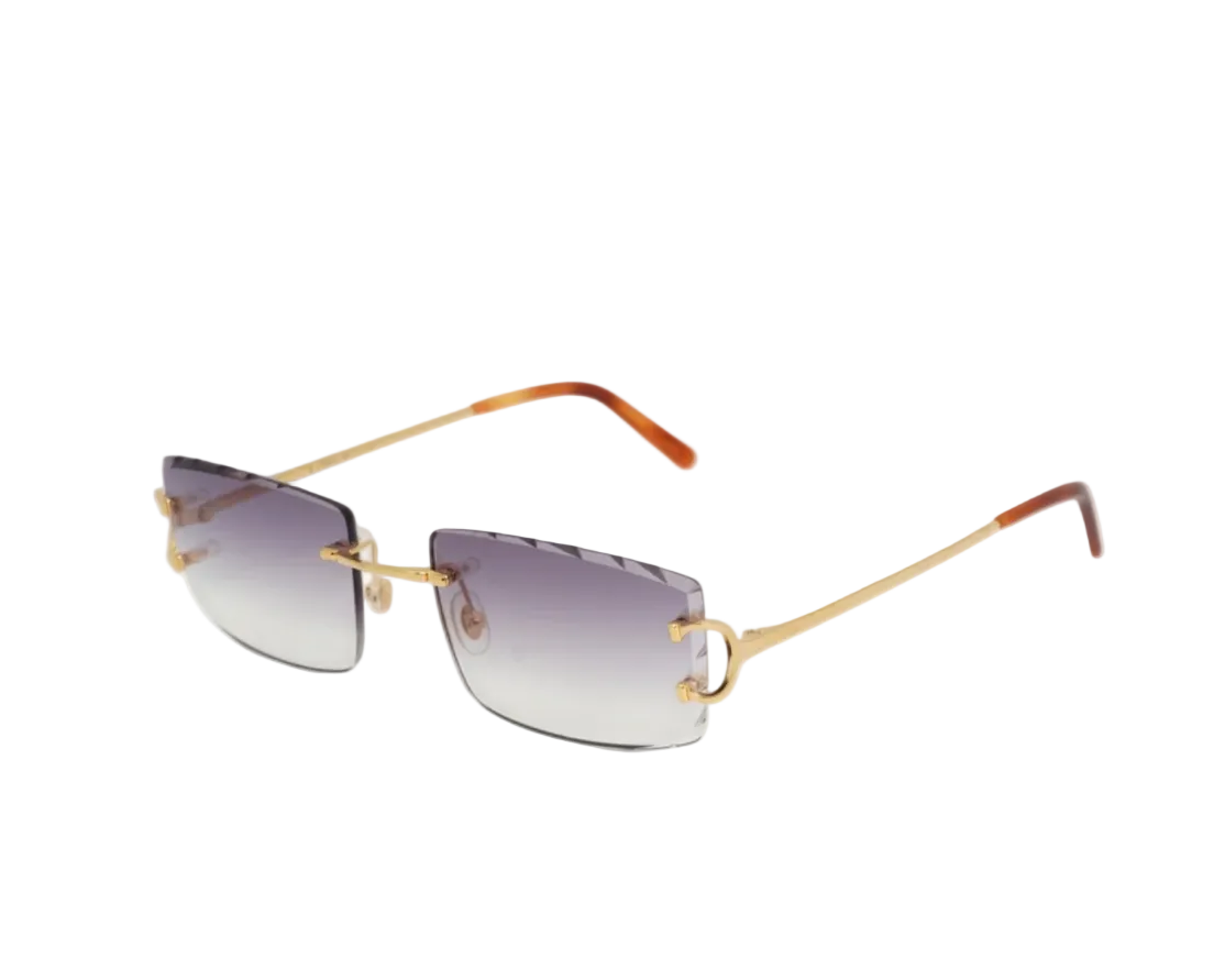 Cartier Sunglasses - Big C Gold