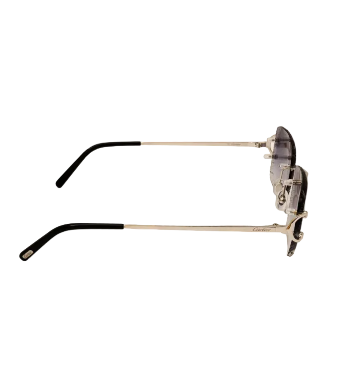 Cartier Sunglasses - Big C Frosted