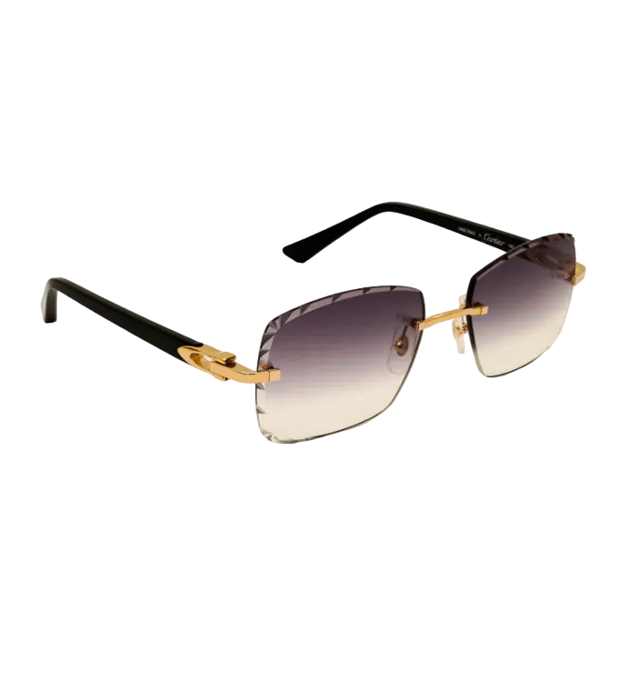 Cartier Sunglasses - Acetate Grey