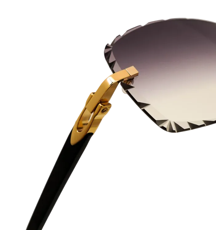 Cartier Sunglasses - Acetate Grey